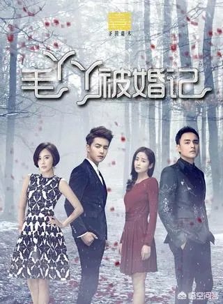 明道主演的电视剧有哪些？