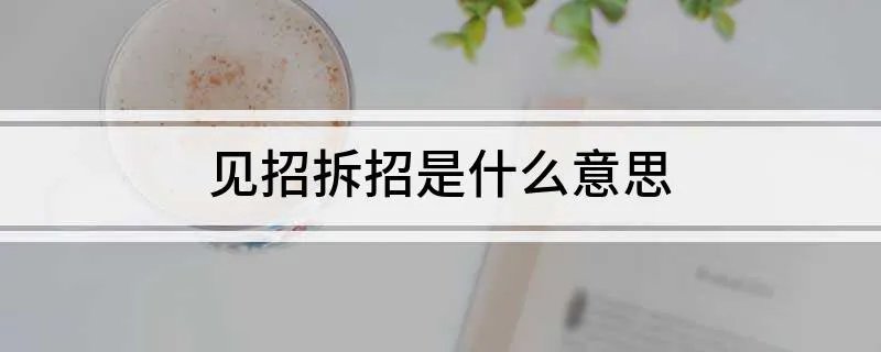 见招拆招是什么意思