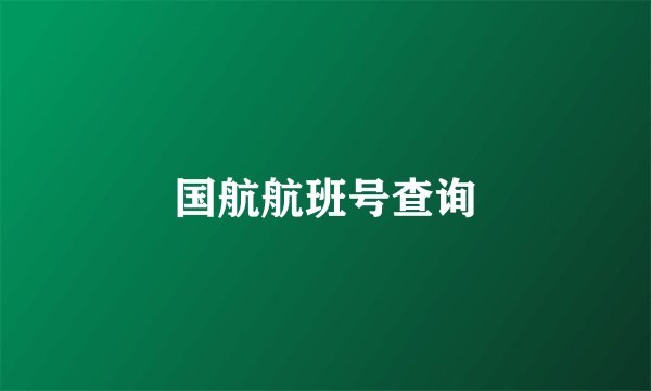 国航航班号查询