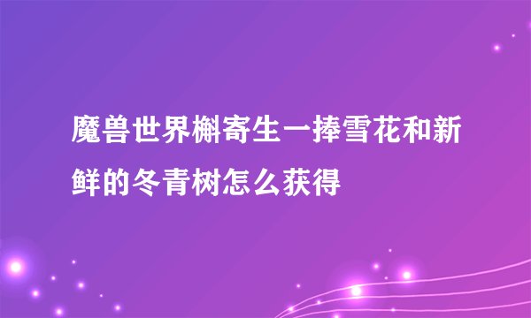 魔兽世界槲寄生一捧雪花和新鲜的冬青树怎么获得