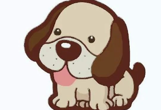 1982年是什么命五行属什么 1982年五行缺啥