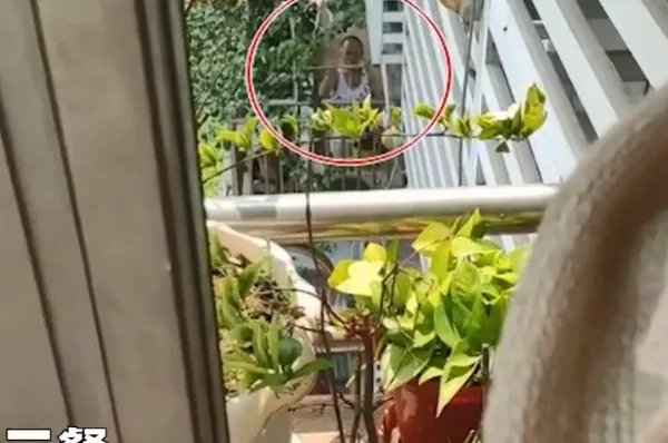 老夫妻被困家中邻居竹竿递送三餐，此事具体是什么情况？