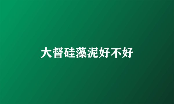 大督硅藻泥好不好