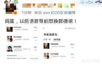 志玲结婚，一位大叔将导航语音换成郭德纲，你怎么看？