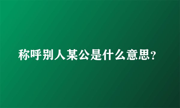 称呼别人某公是什么意思？
