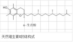 只知道补充维生素C？维生素E的作用才不容小觑！
