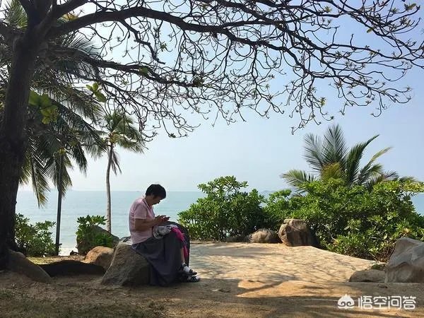 陵水高档小区租房