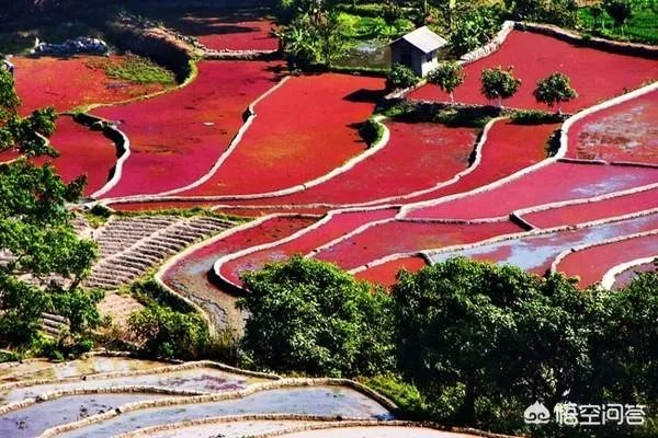房车自驾游会不会取代旅行社？