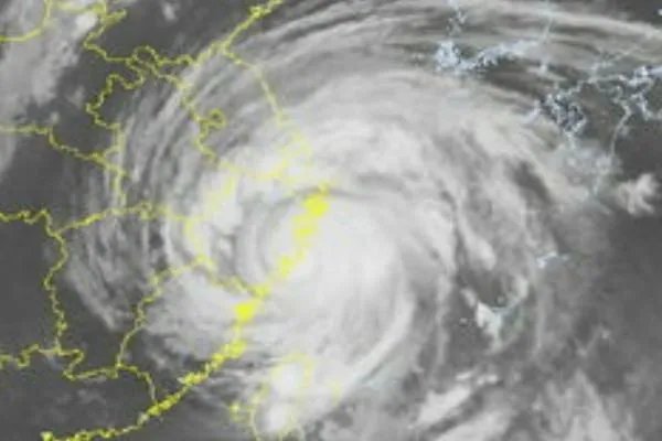 利奇马台风造成这么多的人员伤亡。为什么不能提前撤离呢？