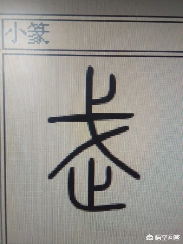 陈正雷为什么打不赢陈小旺