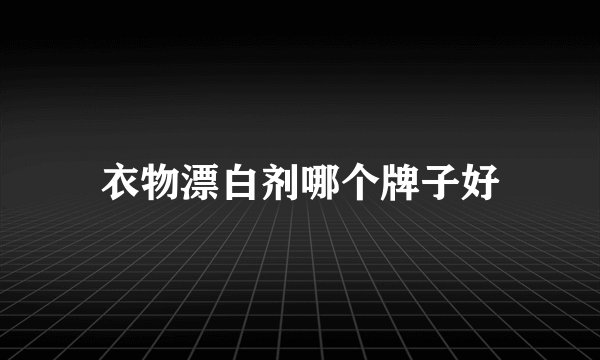 衣物漂白剂哪个牌子好