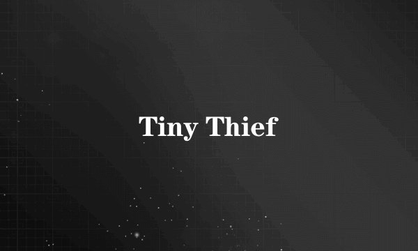 Tiny Thief