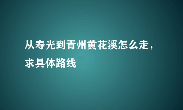 从寿光到青州黄花溪怎么走，求具体路线