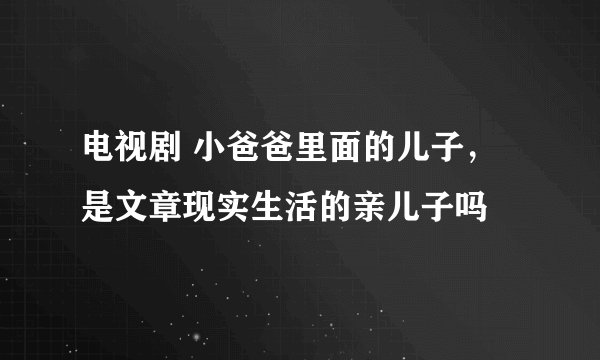 电视剧 小爸爸里面的儿子，是文章现实生活的亲儿子吗