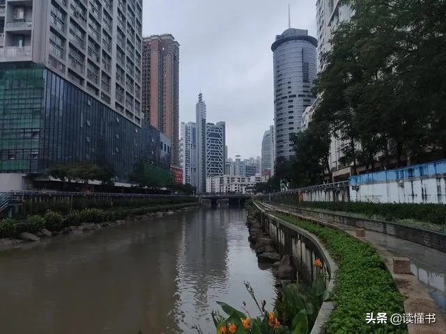 深圳立法禁食猫狗你支持吗？