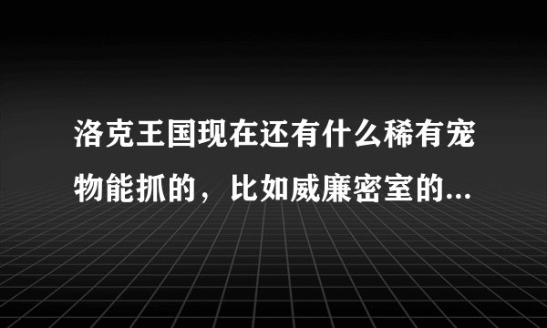 洛克王国现在还有什么稀有宠物能抓的，比如威廉密室的恶魔狼，白落落村的雪豆丁和布鲁斯。