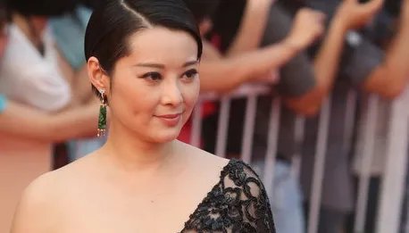 华表奖红毯袁立透明装