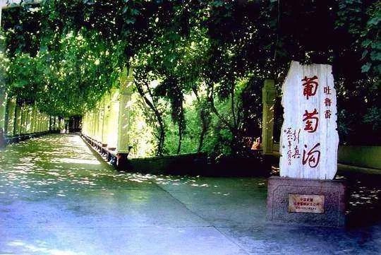 新疆的风景有哪些