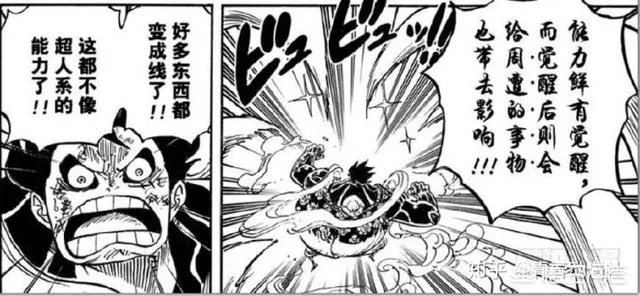 《海贼王》里头果实都能够觉醒，那么路飞的果实觉醒了以后会是怎么样的？