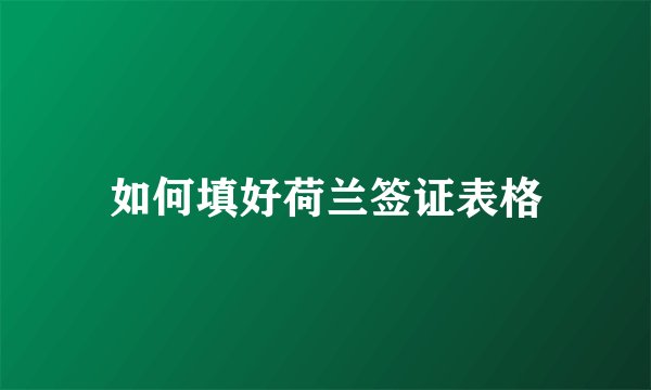 如何填好荷兰签证表格