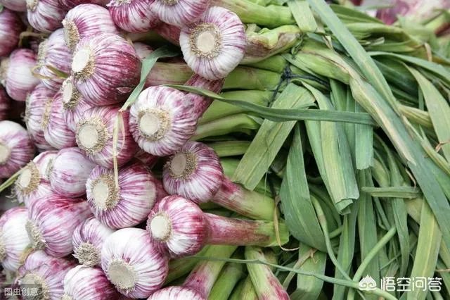 大蒜陆续上市，今年下半年我国大蒜价格会一直突飞猛进吗？