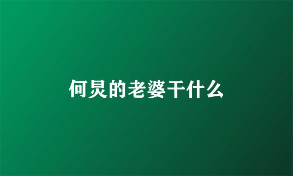 何炅的老婆干什么