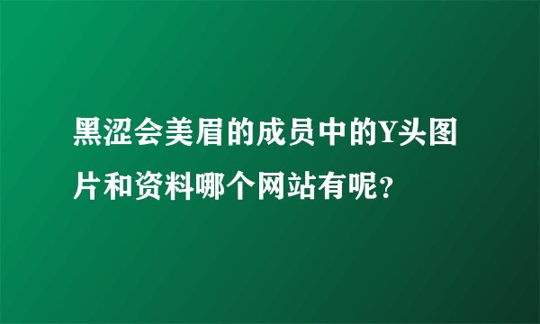 黑涩会美眉的成员中的Y头图片和资料哪个网站有呢？