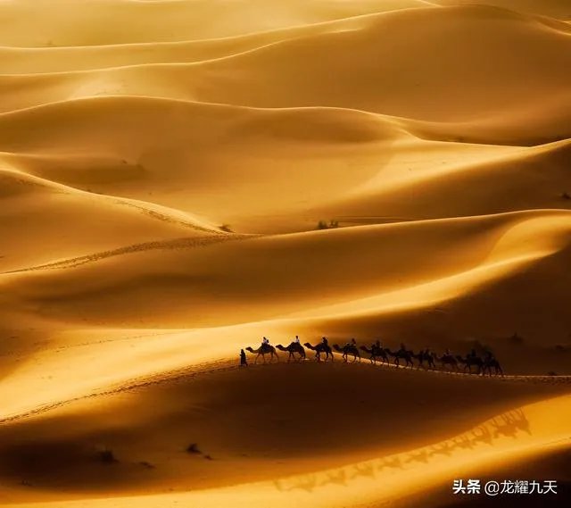 怎样看待（是金子总会发光）这句话？