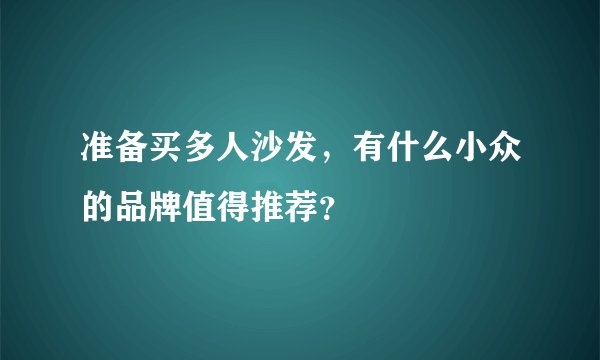 准备买多人沙发，有什么小众的品牌值得推荐？