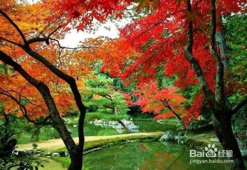 米亚罗旅游攻略