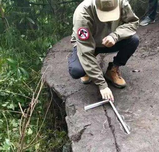 四川5岁男童发现了恐龙足迹，他是咋断定这是恐龙足迹的？