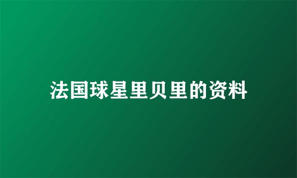 法国球星里贝里的资料