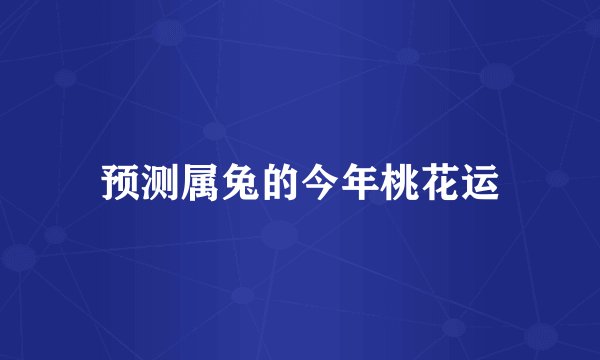 预测属兔的今年桃花运