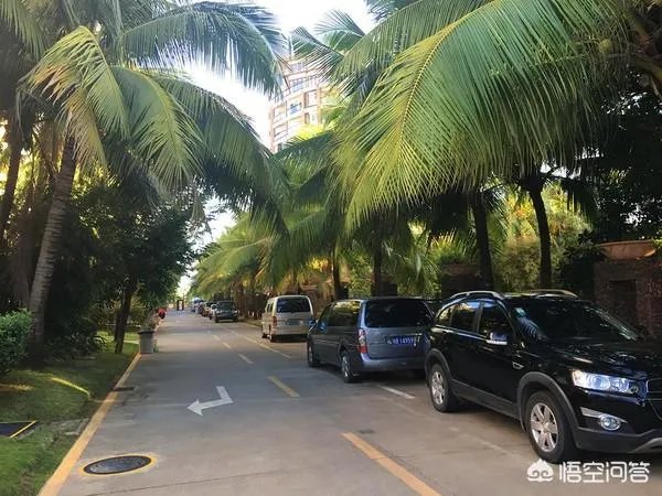 陵水高档小区租房