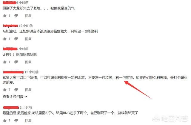 英雄联盟3月20日RNG战胜JDG,赛后出现了哪些搞笑的神评论?