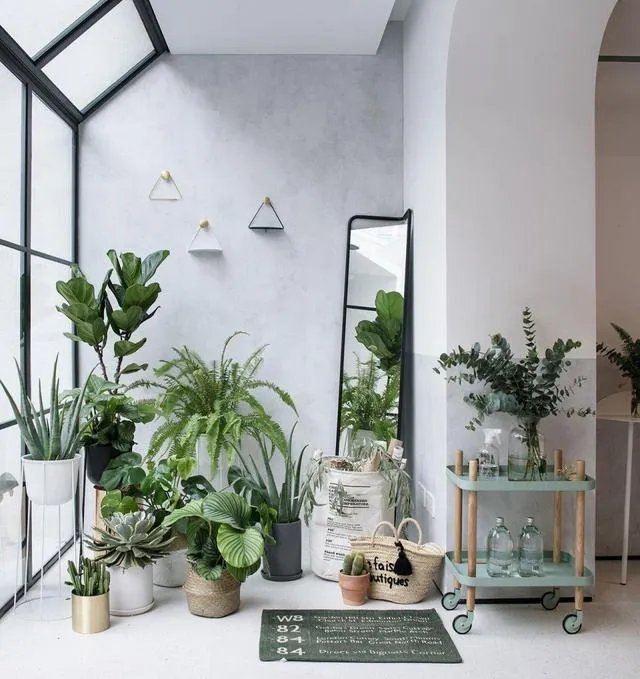 15万的专业设计，太值了！