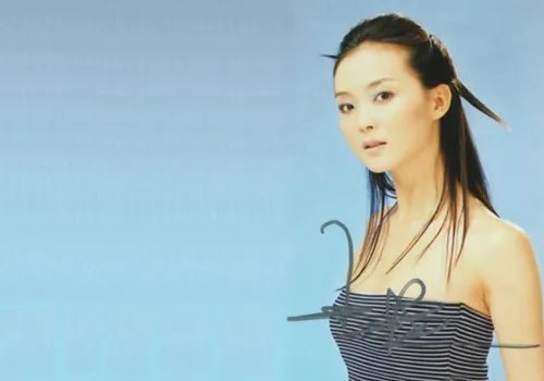 【图】晴格格王艳离婚的原因  揭秘老公王志才的丑闻