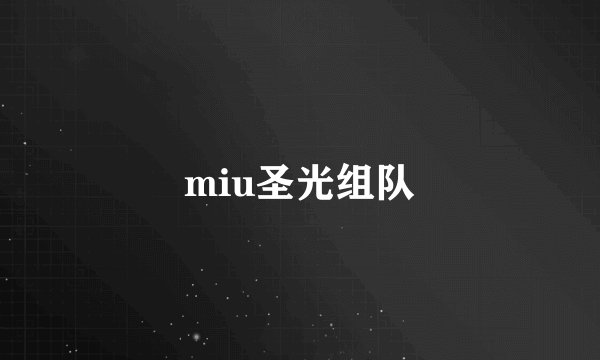 miu圣光组队