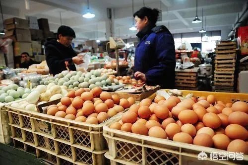 今年什么行情，鸡蛋跌回几年前的价格了，鸡蛋成了白菜价？