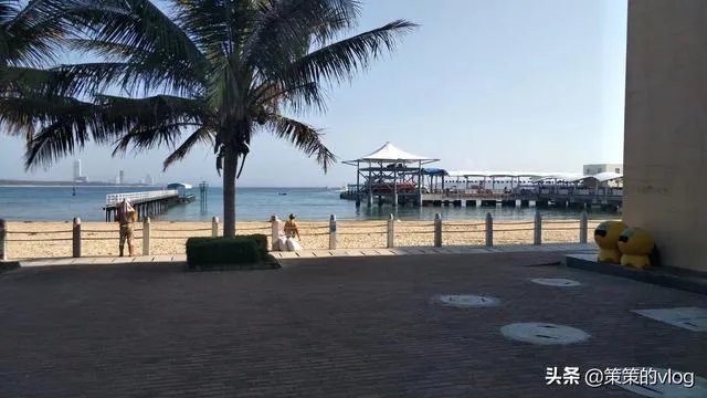 近日广电出台“限籍令”之后，外籍华人明星该何去何从？