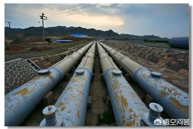 沙漠胶水真的能治好沙漠吗？