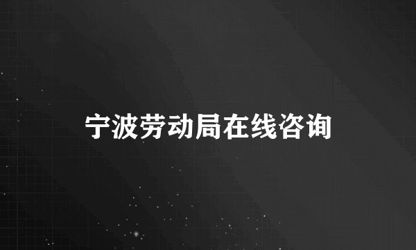 宁波劳动局在线咨询