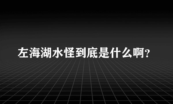 左海湖水怪到底是什么啊？