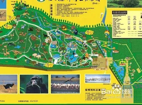 秦岭野生动物园游览路线