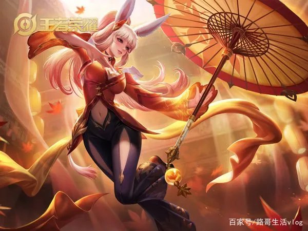 王者荣耀里面除了公孙离还有哪些英雄可以和大乔打配合？