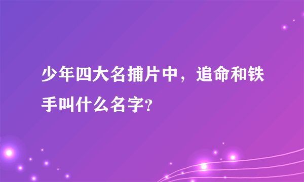 少年四大名捕片中，追命和铁手叫什么名字？