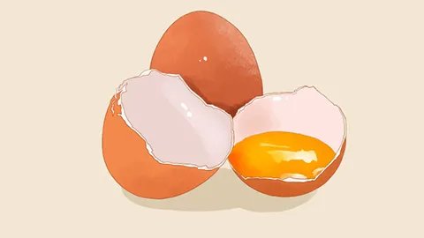 蛋黄多肽有哪些功效