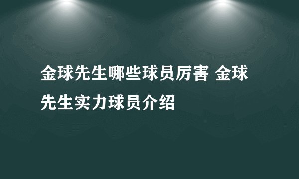 金球先生哪些球员厉害 金球先生实力球员介绍
