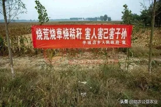 凉山再发山火，142人彻夜救援，系71岁村民烧包谷杆引发，已被警方控制，你怎么看？