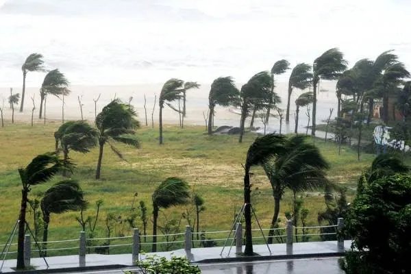 台风“美莎克”预计在什么时候登陆黑龙江？